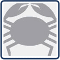 Rk