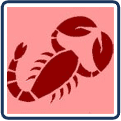 Skorpi